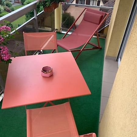 Charmant Appartement 2 Pieces Mundolsheim Eksteriør billede